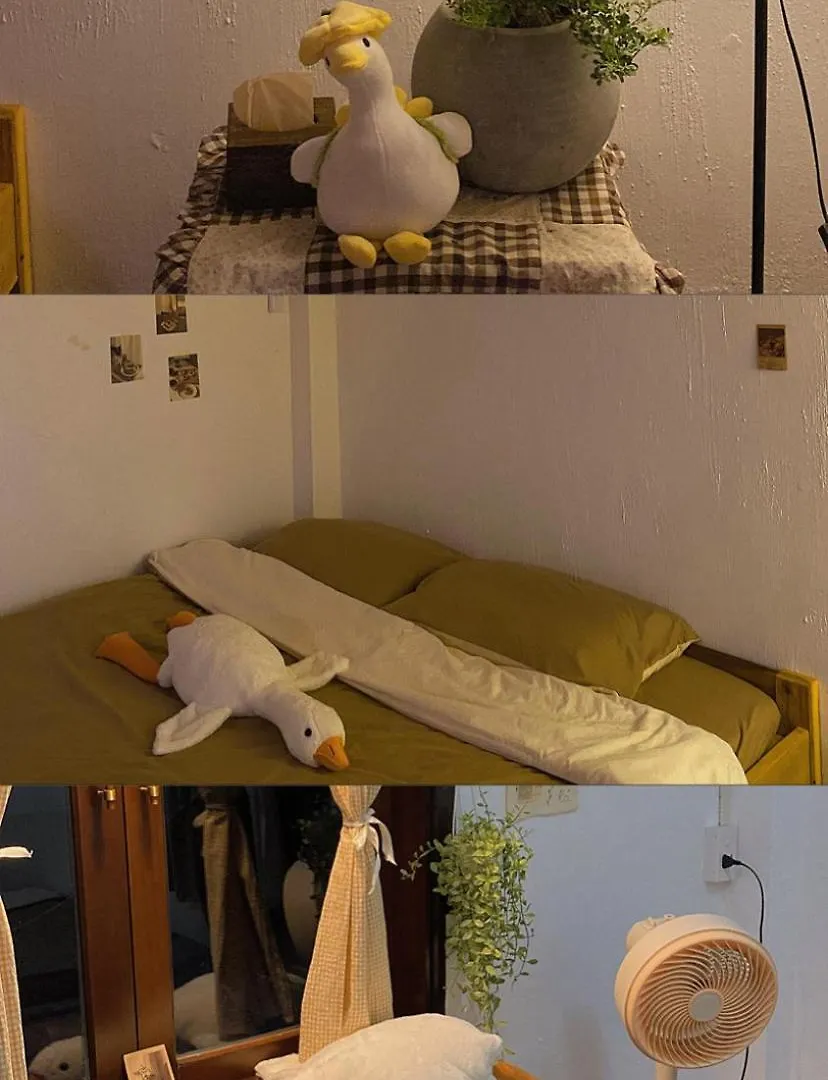 La La Homestay Da Nang 0*,  Vietnam