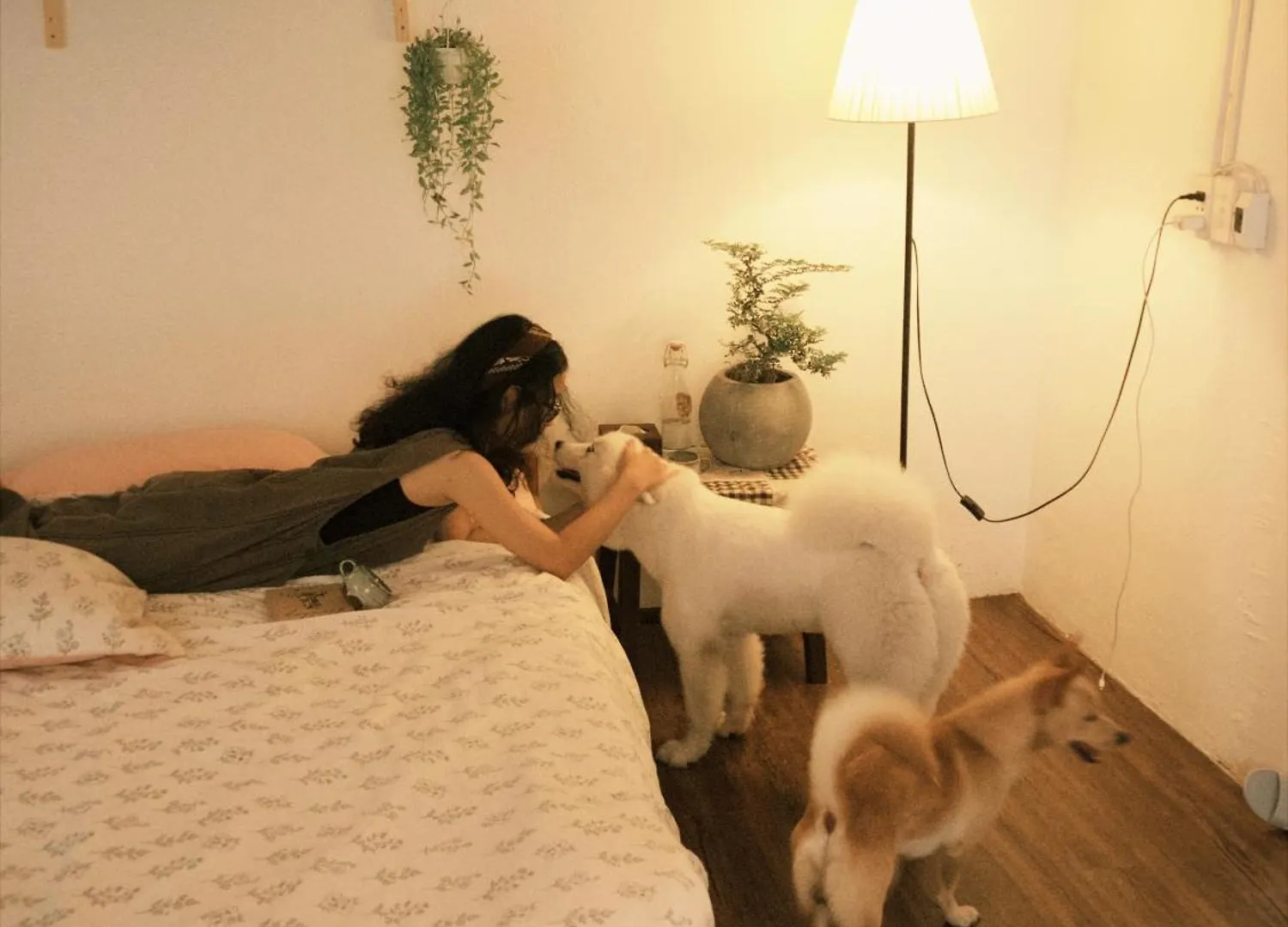 La La Homestay Da Nang