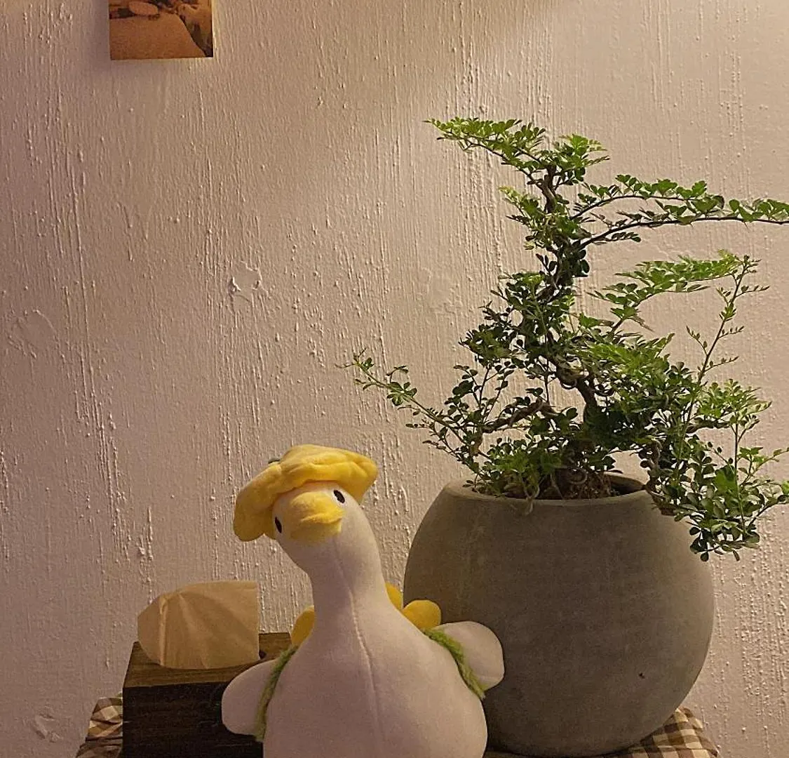 Guest house La La Homestay Da Nang Vietnam