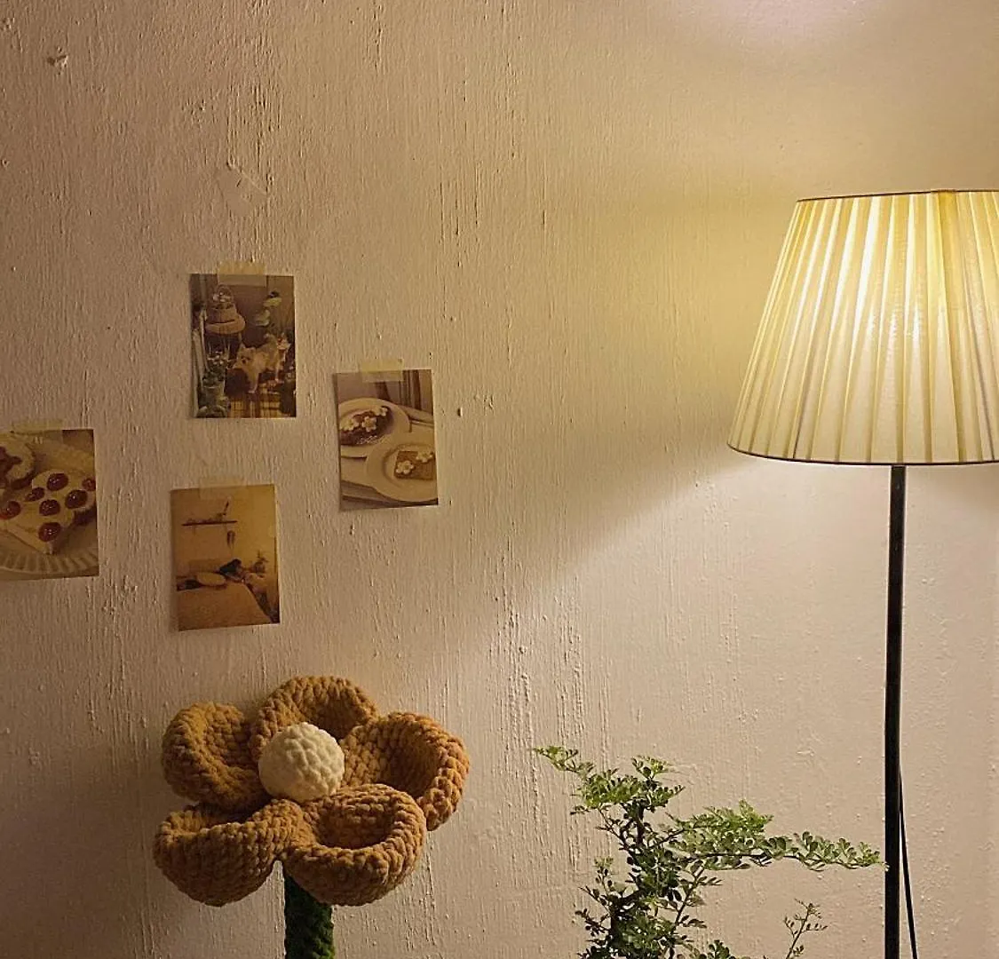 Guest house La La Homestay Da Nang Vietnam